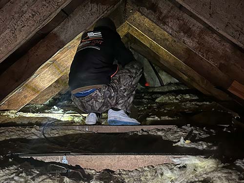 Image 13 de la galerie - Brest Toit Couverture