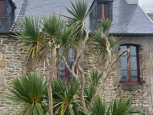 Image 16 de la galerie - Brest Toit Couverture